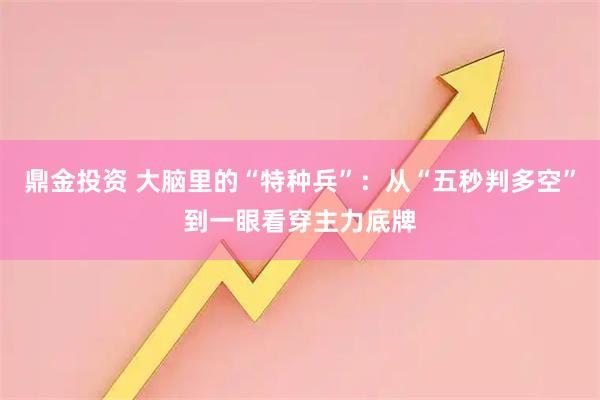 鼎金投资 大脑里的“特种兵”：从“五秒判多空”到一眼看穿主力底牌
