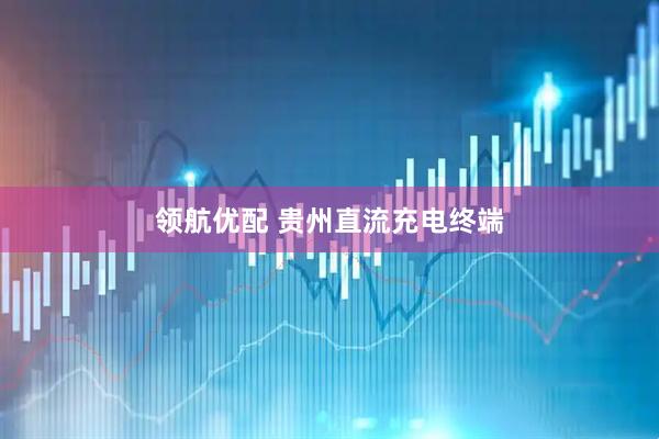 领航优配 贵州直流充电终端