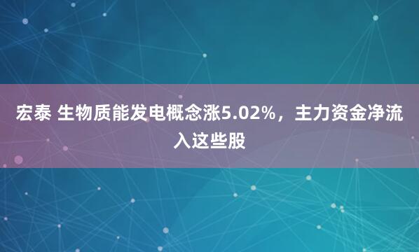 宏泰 生物质能发电概念涨5.02%，主力资金净流入这些股