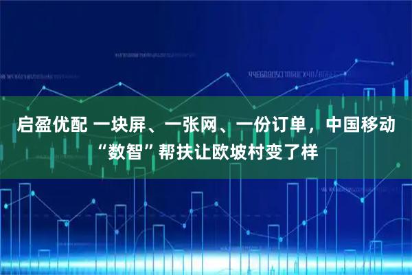 启盈优配 一块屏、一张网、一份订单，中国移动“数智”帮扶让欧坡村变了样