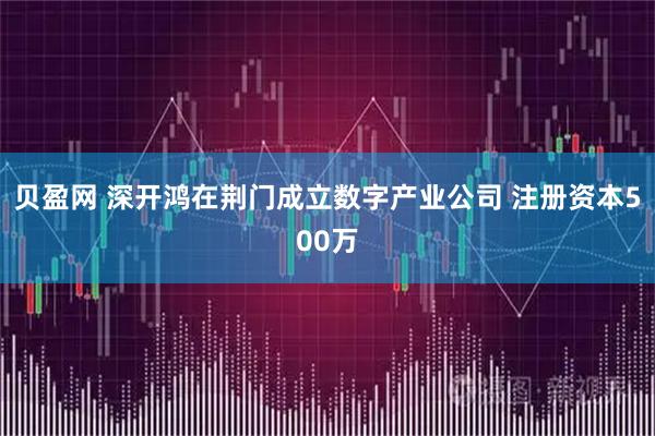 贝盈网 深开鸿在荆门成立数字产业公司 注册资本500万