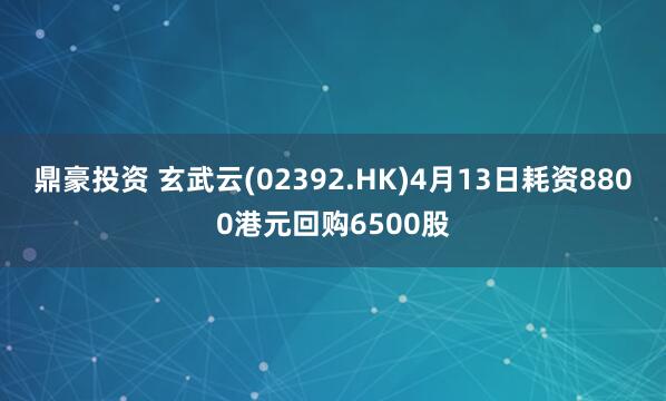 鼎豪投资 玄武云(02392.HK)4月13日耗资8800港元回购6500股