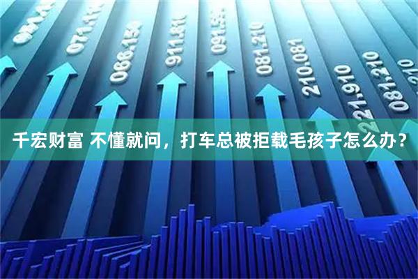 千宏财富 不懂就问，打车总被拒载毛孩子怎么办？