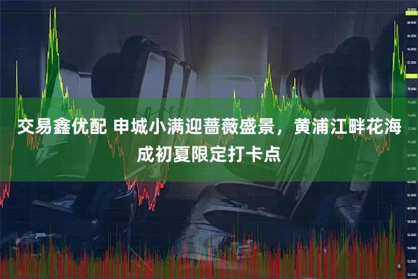 交易鑫优配 申城小满迎蔷薇盛景，黄浦江畔花海成初夏限定打卡点