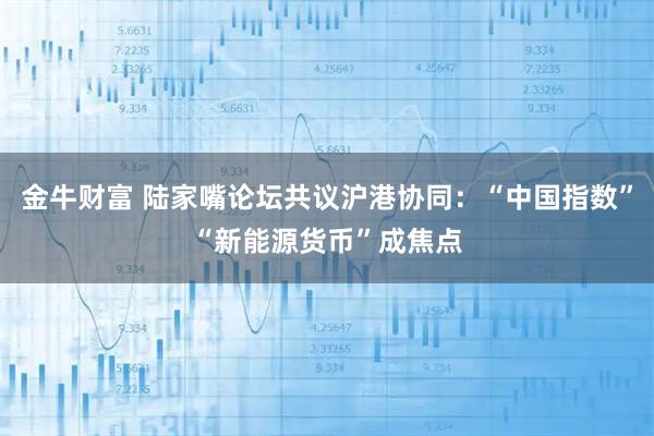 金牛财富 陆家嘴论坛共议沪港协同：“中国指数”“新能源货币”成焦点