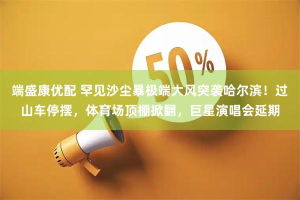 端盛康优配 罕见沙尘暴极端大风突袭哈尔滨！过山车停摆，体育场顶棚掀翻，巨星演唱会延期