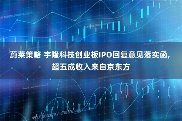 蔚莱策略 宇隆科技创业板IPO回复意见落实函, 超五成收入来自京东方